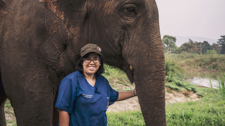 Dr. Nissa Mututanont. Фото: Anantara Golden Triangle Elephant Camp & Resort (GTAEF).