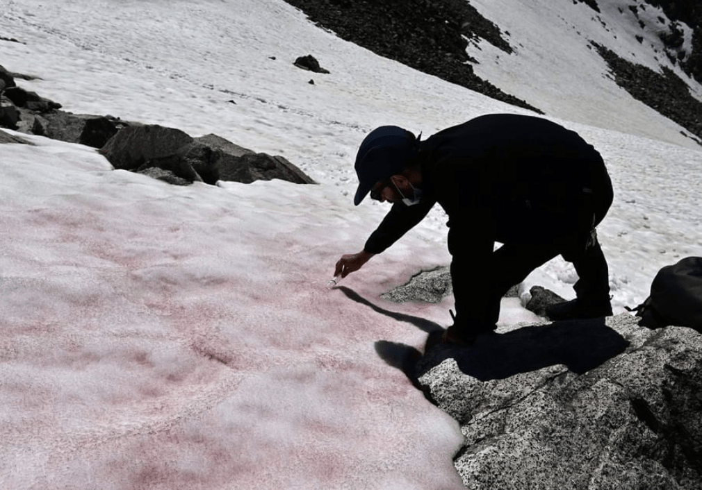 В Итальянских Альпах выпал розовый снег