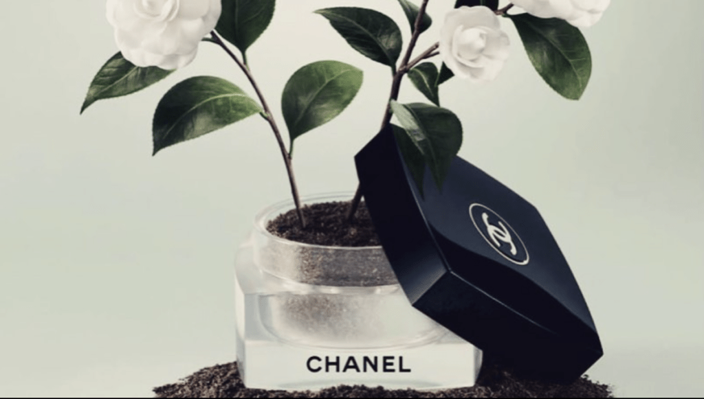 Модный дом Chanel открыл выставку растений в Париже
