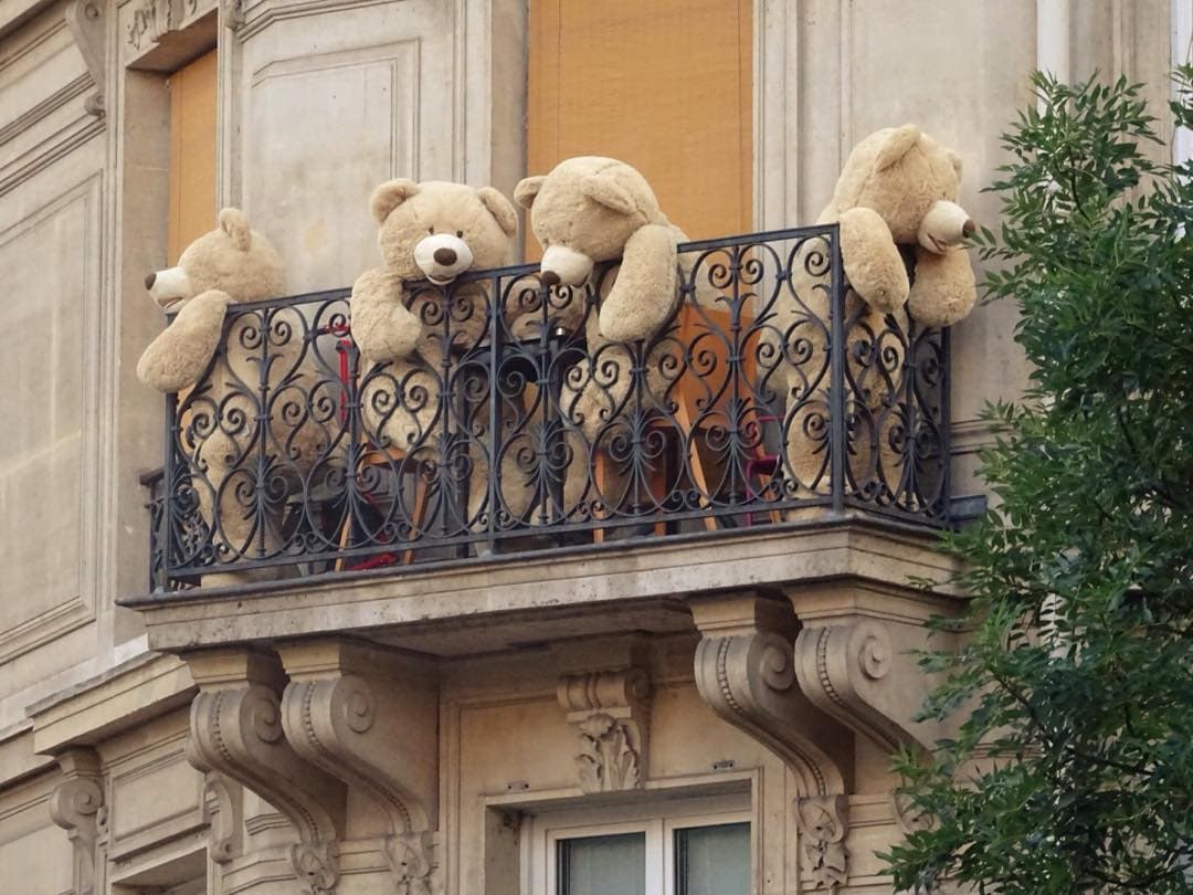 Париж и медведи 